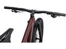 Specialized Epic Evo Expert, rusted red/blaze/pearl | Bild 7