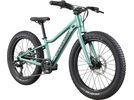 Cannondale Kids Trail Plus 20, cactus green | Bild 2