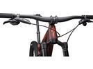 Specialized Epic Evo Expert, rusted red/blaze/pearl | Bild 6