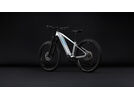 Cube Reaction Hybrid SLX 800 29, platinum´n´reflex | Bild 10