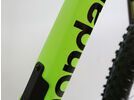 ***2. Wahl*** Cannondale Scalpel Carbon 2 stealth grey | Bild 10