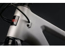 Santa Cruz Blur CC / XX SL AXS TR / RSV / 29, matte silver | Bild 2