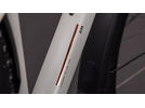 Cube Aim Pro FE 29, greige´n´titan | Bild 3