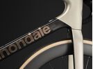 Cannondale SuperSix Evo Hi-Mod 1, platinum | Bild 16