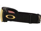 Oakley Flight Deck Pro L 50th Anniversary, Prizm Snow 24K Iridium & Iced | Bild 6