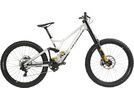 Specialized Demo Race, flake silver/gunmetal/brushed | Bild 1