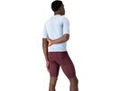 Castelli Premio Evo Bibshort, deep bordeaux/winter sky | Bild 3