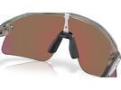 Oakley Stunt Devil S, Prizm Violet / grey ink moondust | Bild 5