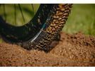 Schwalbe G-One RX Pro Addix Race Super Race - 700C, transp. sidewall | Bild 28