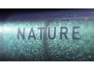 Cube Nature EXC, verde´n´black | Bild 9