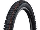 Schwalbe Albert Radial Addix Soft Trail Pro - 29 Zoll | Bild 1