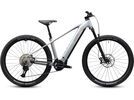 Cube Reaction Hybrid SLX 800 29, platinum´n´reflex | Bild 1