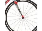 Cannondale CAAD10 Force Racing Edition, grey/silver/red | Bild 2