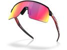 Oakley Sutro Lite Troy Lee Designs Series, Prizm Road | Bild 3