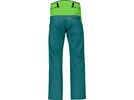 Norrona lofoten Gore-Tex Pro Pants M's, classic green/everglade | Bild 2