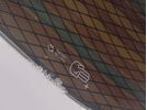 Bataleon Evil Twin+ | Bild 9
