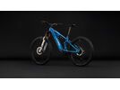 Cube Stereo Hybrid One77 HPC AT 800, actionteam | Bild 11