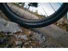 Schwalbe G-One RX Pro Addix Race Super Race - 700C, transp. sidewall | Bild 4