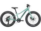 Cannondale Kids Trail Plus 20, cactus green | Bild 1