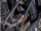 Northwave Celsius XC GTX, sand/black | Bild 5