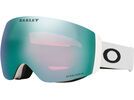 Oakley Flight Deck Pro M, Prizm Snow Sapphire Iridium & Sage Gold / matte white | Bild 2