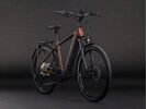 Cube Kathmandu Hybrid Pro 800, sunglow´n´chrome | Bild 2