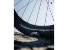Schwalbe Albert Radial Addix Ultra Soft Trail Pro - 27.5 Zoll | Bild 5