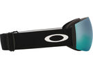 Oakley Flight Deck Pro L, Prizm Snow Sapphire Iridium & Iced / matte black | Bild 11