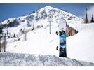 Lib Tech Glider | Bild 11