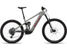 Santa Cruz Vala C / S / MX, gloss grey | Bild 1