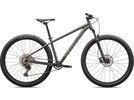 Specialized Rockhopper Expert 29, satin smoke/gloss chrome | Bild 1