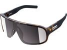 POC Aspire, Clarity Road/Sunny Silver / tortoise brown | Bild 1