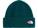 The North Face Salty Lined Beanie, pacific teal | Bild 1