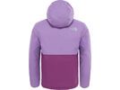 The North Face Youth Snowquest Plus Jacket, bellflower purple | Bild 2