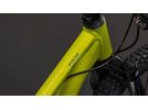 Cube Acid 240 Disc, lizard´n´blue | Bild 2
