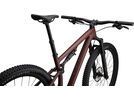 Specialized Epic Evo Expert, rusted red/blaze/pearl | Bild 8