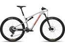 Santa Cruz Blur C / GX AXS TR / RSV / 29, matte silver | Bild 1