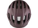 Alpina Paranus MIPS, raisin matt | Bild 2
