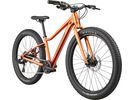 Cannondale Trail Plus 24, fire orange | Bild 2