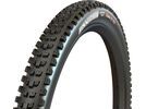 Maxxis Dissector 3C MaxxTerra EXO WT TR - 29 Zoll | Bild 1