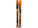 Line Sakana | Bild 1