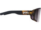 POC Aspire, Clarity Road/Sunny Silver / tortoise brown | Bild 3