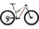 Santa Cruz Blur CC / XX SL AXS TR / RSV / 29, matte silver | Bild 1