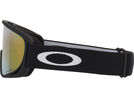 Oakley Mont Scape M, Prizm Snow Sage Gold Iridium / matte black | Bild 3