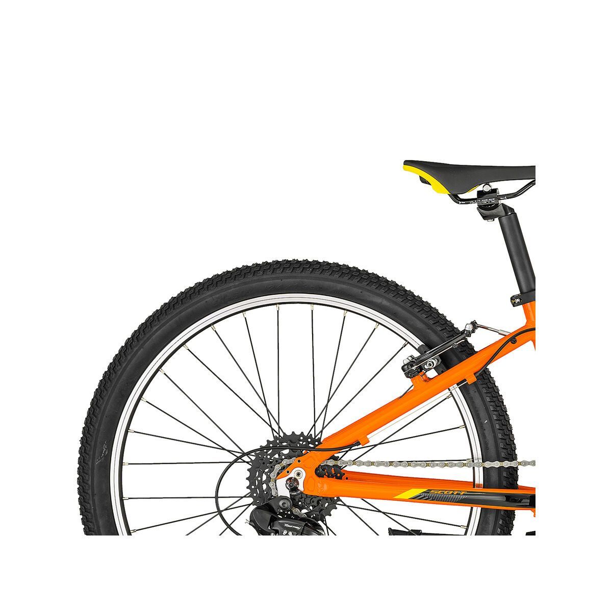 Scott Scale 24 - Bild 6