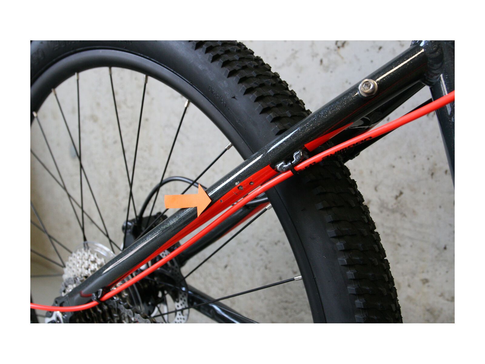 Frog Bikes *** 2. Wahl *** Frog MTB 69 2018  | Größe Unisize // 38 cm, grey/red - Kinderfahrrad - Bild 3