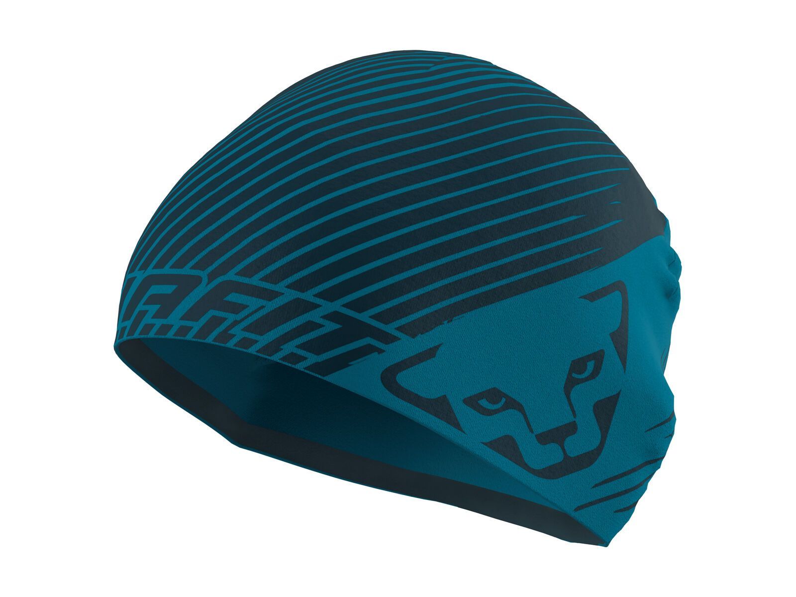 Dynafit Performance 2 Beanie, reef - Bild 1