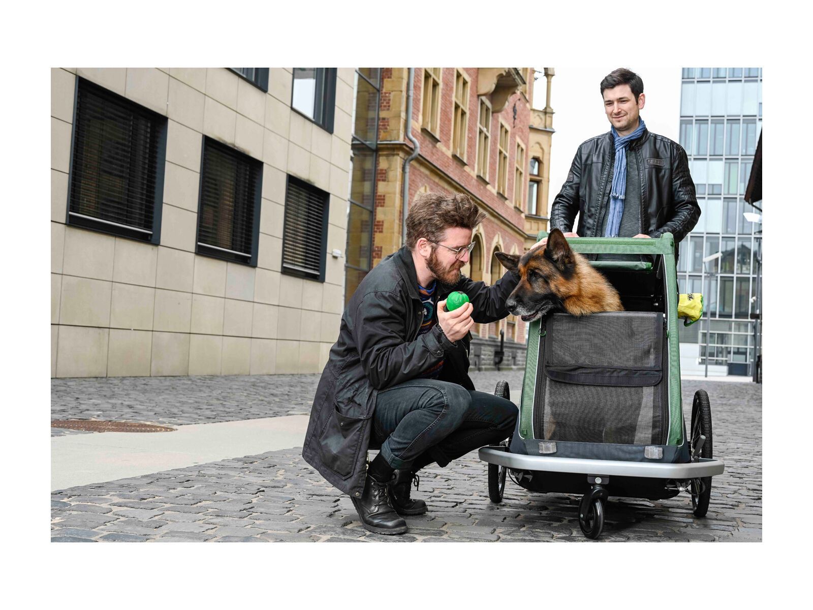 Croozer Dog Bruuno, pine green - Bild 7