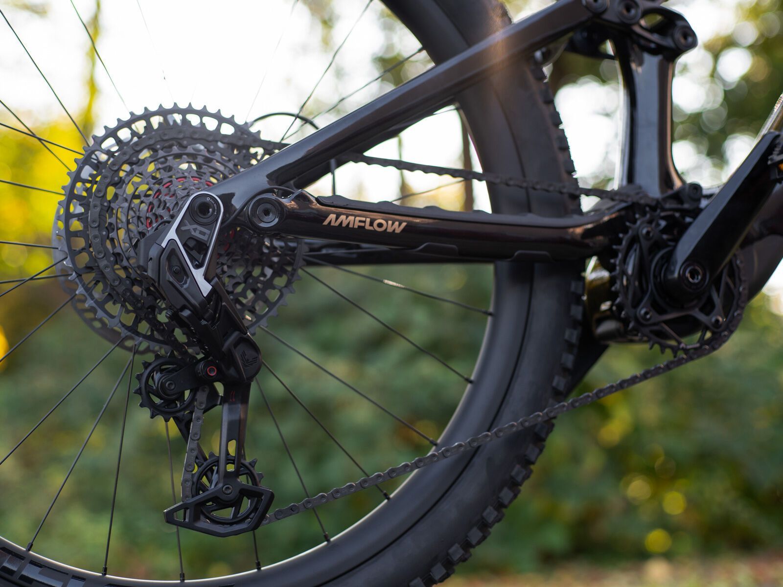 Amflow PL Carbon Pro - 800 Wh, cosmic black - Bild 22