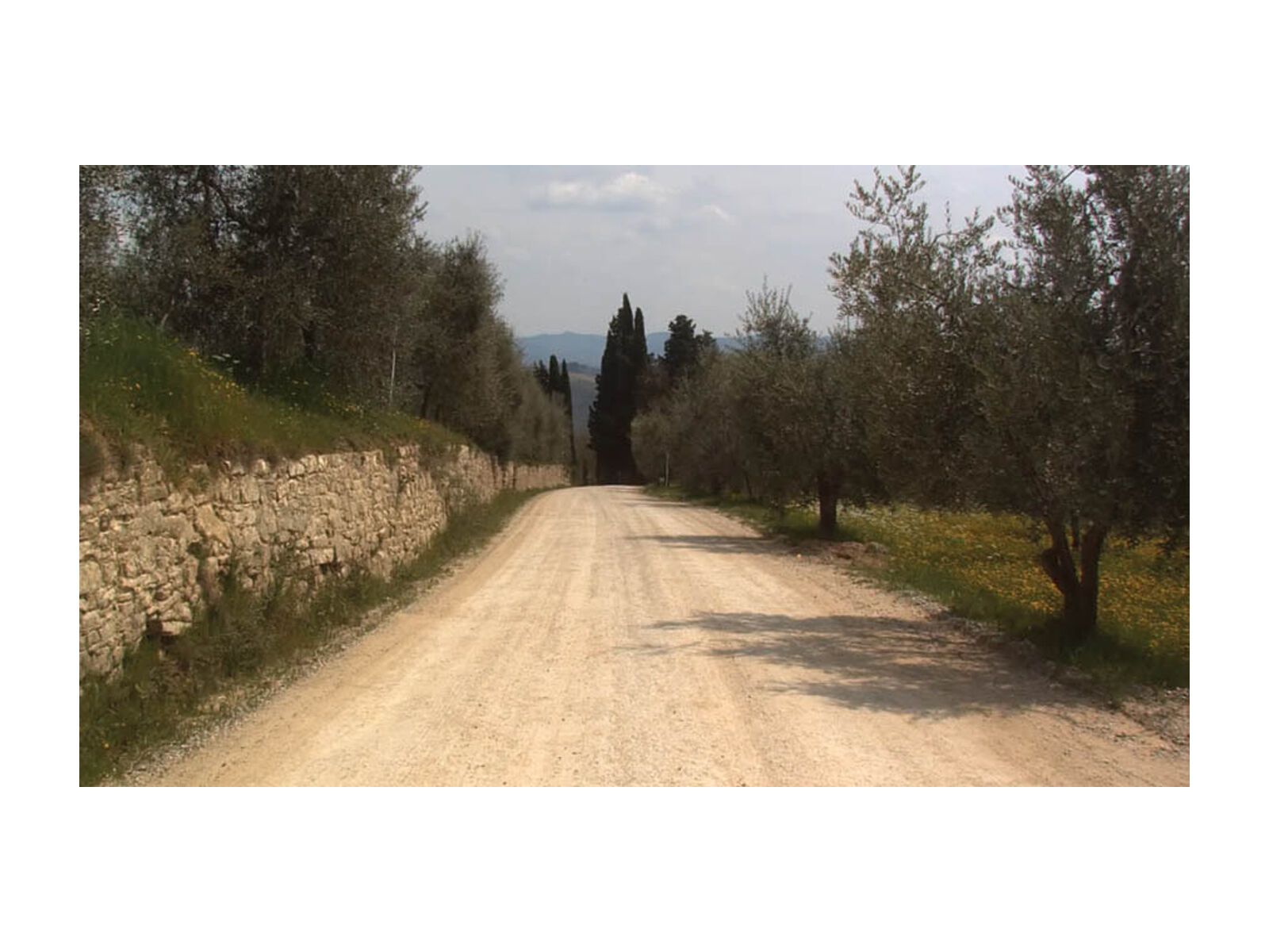 Tacx Real Life Video - Monte Paschi Eroica (Italien) - Bild 3